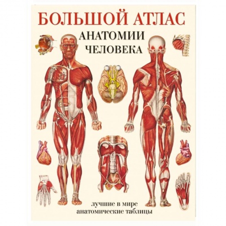 Книги, книга Большой атлас анатомии человека купить по скидке