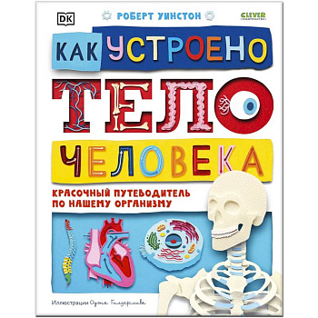Как устроено тело человека. Красочный путеводитель по нашему организму