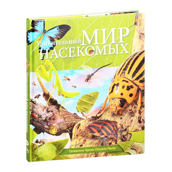 Удивительный мир насекомых