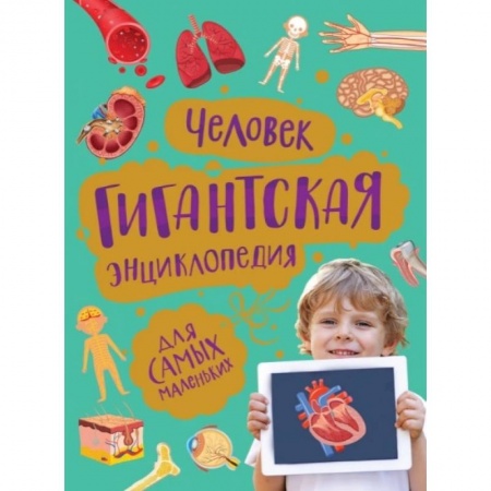 Знакомство с миром, развитие малыша, книга Человек. Гигантская энциклопедия для самых маленьких купить по скидке