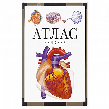 Атлас.Человек