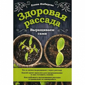 Здоровая рассада. Выращиваем сами