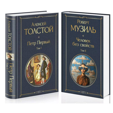 Зарубежная классика, книга Человек без свойств (комплект из 2 книг: том 1 и том 2) купить по скидке