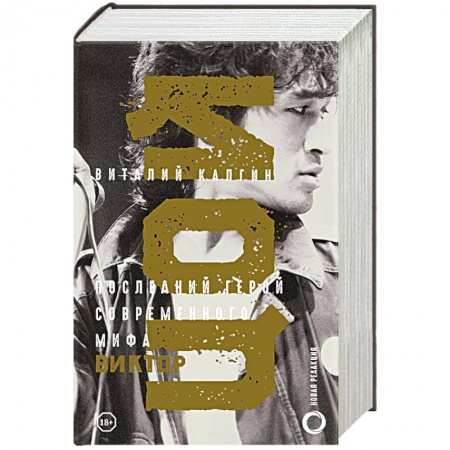 Мемуары, биографии деятелей культуры, искусства, книга Виктор Цой. Последний герой современного мифа. Новая редакция купить по скидке