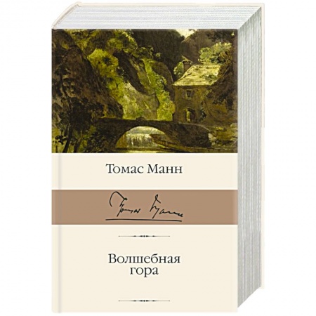 Зарубежная классика, книга Волшебная гора купить по скидке