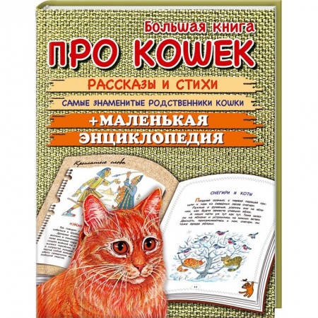 Книги, книга Большая книга про кошек купить по скидке