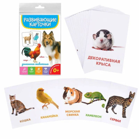 Знакомство с миром, развитие малыша, книга Домашние животные купить по скидке