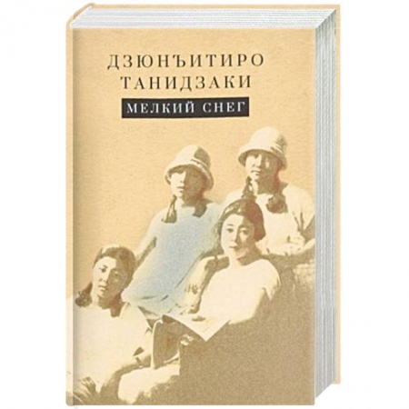 Зарубежная современная проза, книга Мелкий снег купить по скидке